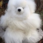 Alpaca_teddy_bear.jpg