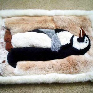 Alpaca rugs with penguin design