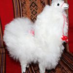 Llama-alpaca2.jpg